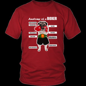 Anatomy of a Boxer