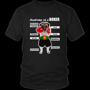 Anatomy of a Boxer